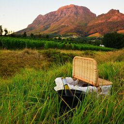 rsz_zuid-afrika-kaapse-wijnlanden-hoogtepunt-picknick