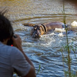 rsz_zuid-afrika-saint-lucia-excursie-hippo-crocodile-boattour-4