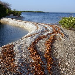 Senegal-Sine Saloum (1)