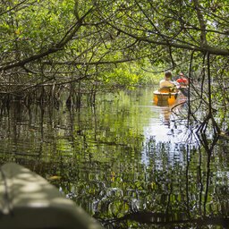 Senegal-Sine Saloum kajakken