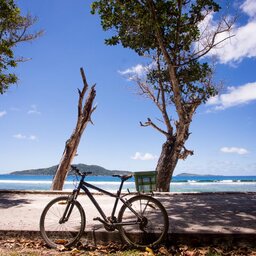 Seychellen-La-Digue-Domaine-de-l'Organeraie-Anse-Severe