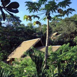 Seychellen-La-Digue-Domaine-de-l'Organeraie-Villa-de-Charme-exterieur