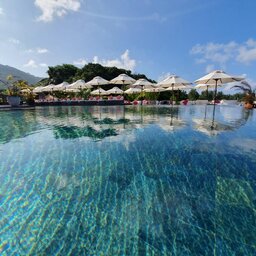 Seychellen-La-Digue-Domaine-de-l'Organeraie-zwembad-en-poolbar