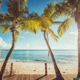 Seychellen-Mahe-Carana-Beach-palmbomen-strand