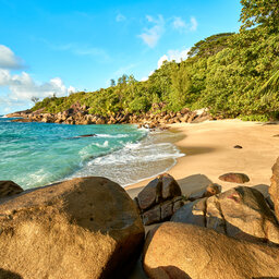 Seychellen-Mahé-Excursie-Anse-Major-nature-trail 3