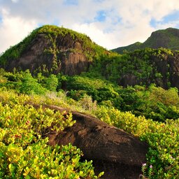 Seychellen-Mahé-Excursie-Anse-Major-nature-trail