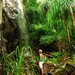 Seychellen-Mahé-Excursie-Vallee de Mai-Anse Lazio-3