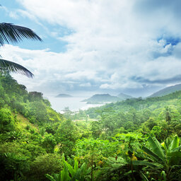 Seychellen-Mahé-natuur