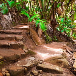 Seychellen-nature-trail