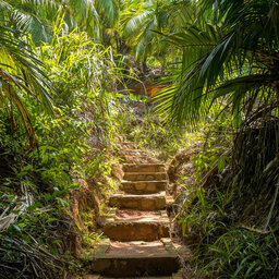 Seychellen-Praslin-Fond-Ferdinand-Nature-Reserve