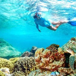 Seychellen-Private-eilanden-Alphonse-Island-snorkelen
