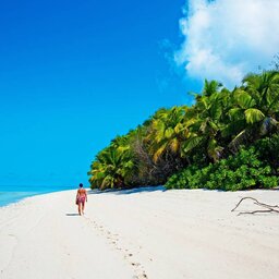 Seychellen-Private-eilanden-Alphonse-Island-strand