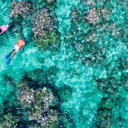 Seychellen-Private-eilanden-BlueSafari-Cosmo-Eco-Camp-koppel-snorkelen