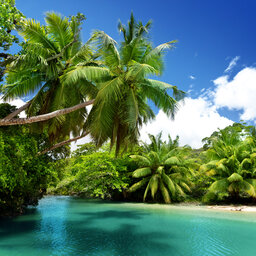 Seychellen-strand-foto 2