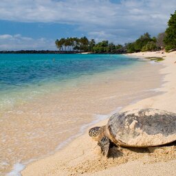 Seychellen-Variety Cruise (4)