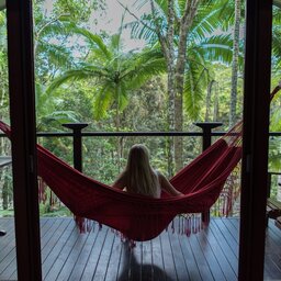 Silky Oaks Lodge - Finlayvale road - Mossman - Queensland - Australië - Daintree Rainforest (20)