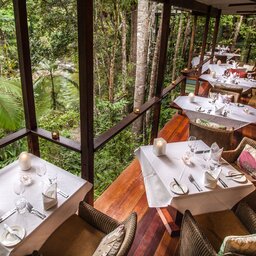Silky Oaks Lodge - Finlayvale road - Mossman - Queensland - Australië - Daintree Rainforest (4)
