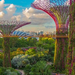 Singapore-Excursie-Futuristic-Gardens-4