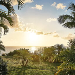 Sint-Maarten-Hotel-Belmond-La-Samanna-tropische-tuin