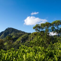 Sri Lanka-Ella-hoogtepunt-Little Adams Peak