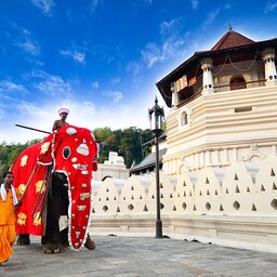 Sri Lanka-Kandy-hoogtepunt-festival1