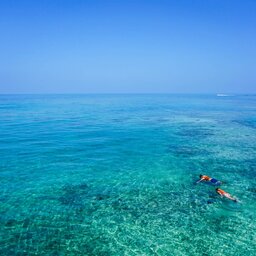 Sri-Lanka-Oostkust-Excursie-Snorkeling-Pigeon-Island-1