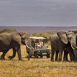 Tanzania-Lake-Manyara-Chem-Chem-Lodge-safari-olifanten-koppel-in-jeep