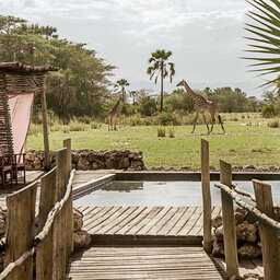 Tanzania-Lake-Manyara-Chem-Chem-Lodge-zwembad