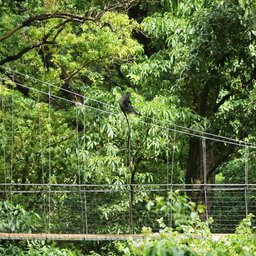 Tanzania-Lake-Manyara-Excursie-Manyara-Treetop-Walkway