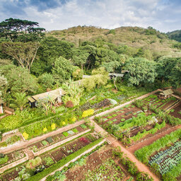 Tanzania-Ngorongoro-Gibb's-Farm-luchtfoto-groententuin