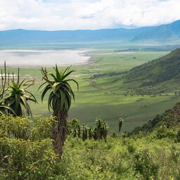 Tanzania-Ngorongoro krater