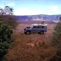 Tanzania-Ngorongoro krater-jeep