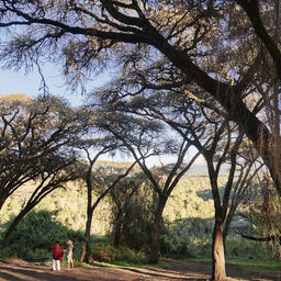 Tanzania-Ngorongoro-Sanctuary-Crater-Camp-omgeving-sfeerbeeld