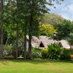 Tanzania-ngorongoro-The-Plantation-Lodge 1