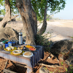 Tanzania-Ruaha NP-Mwagusi Camp-ontbijt in de bush