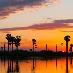 Tanzania-Selous-zonsondergang