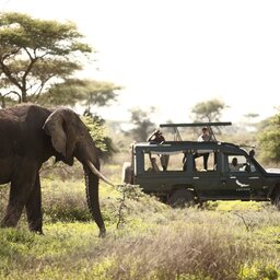 Tanzania-Serengeti-&beyond Grumeti, Tented Camp-resized (10)