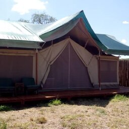 Tanzania-Serengeti NP-Asanja-Moru-tent-2