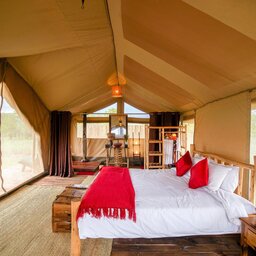 Tanzania-Serengeti NP-Asanja-Moru-tent-bed