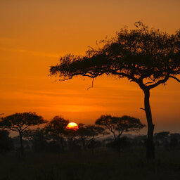 Tanzania-Serengeti NP-Asanja-Moru-zonsondergang-natuur