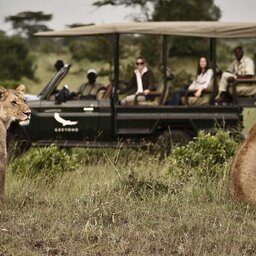 Tanzania-Serengeti NP-&Beyond-Kleins-Camp-safari-jeep-leeuwen