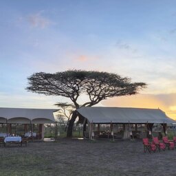 Tanzania-Serengeti NP-Beyond-Serengeti-Under-Canvas-camp-site