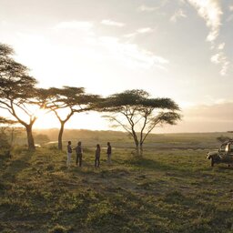Tanzania-Serengeti NP-Beyond-Serengeti-Under-Canvas-safari