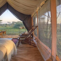Tanzania-Serengeti NP-Beyond-Serengeti-Under-Canvas-tent-1