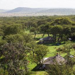 Tanzania-Serengeti NP-Elewana-Serengeti-Pioneer-Camp-luchtfoto-kamp
