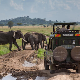 Tanzania-Serengeti NP-Elewana-Serengeti-Pioneer-Camp-safari-jeep-olifanten