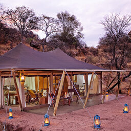 Tanzania-Serengeti NP-Elewana-Serengeti-Pioneer-Camp-tent