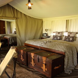 Tanzania-Serengeti NP-Elewana-Serengeti-Pioneer-Camp-tent-interieur