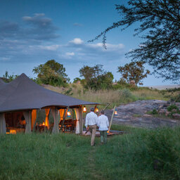 Tanzania-Serengeti NP-Elewana-Serengeti-Pioneer-Camp-tent-koppel