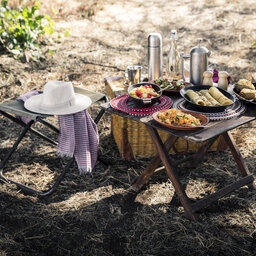 Tanzania-Serengeti NP-Sanctuary-Kusini-Camp-picknick-set-up